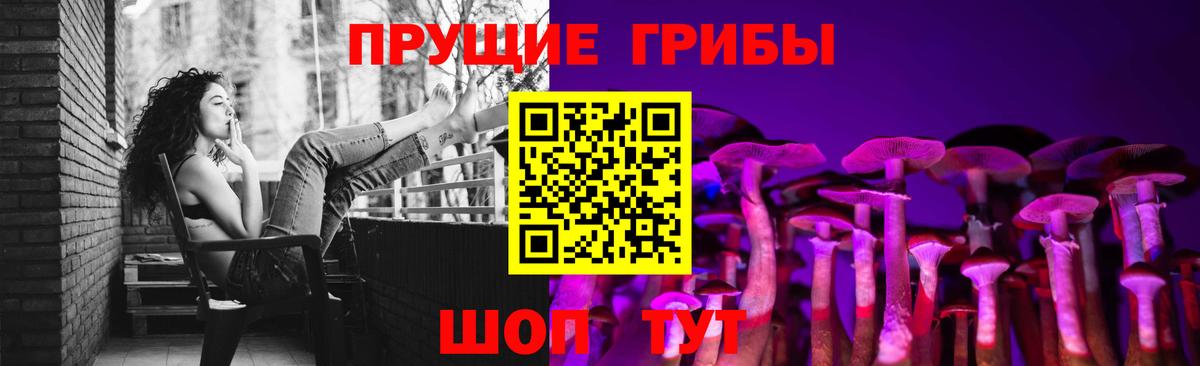 Псилоцибиновые грибы Psilocybe Шатура
